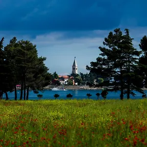 Belvedere Holidays Ferienhaus